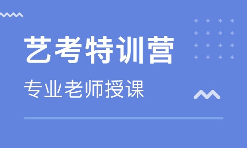 武汉艺考生文化课培训班谈各科复习方式